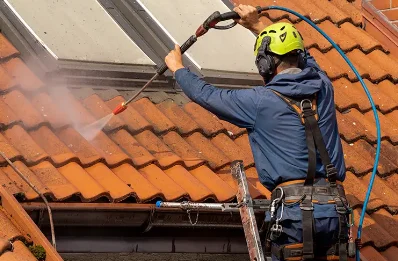 Démoussage et hydrofuge de toiture à Ménil-Froger